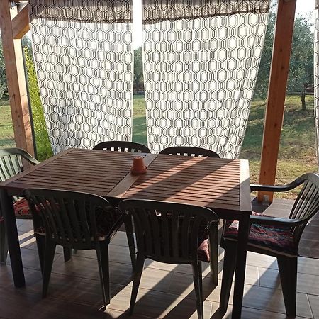 Nature Home Eco-friendly Pet-friendly Fažana Eksteriør billede