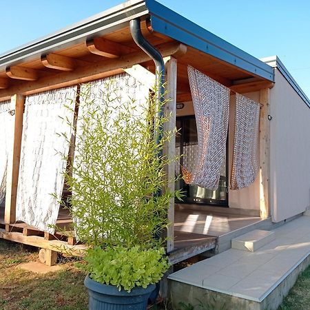 Nature Home Eco-friendly Pet-friendly Fažana Eksteriør billede