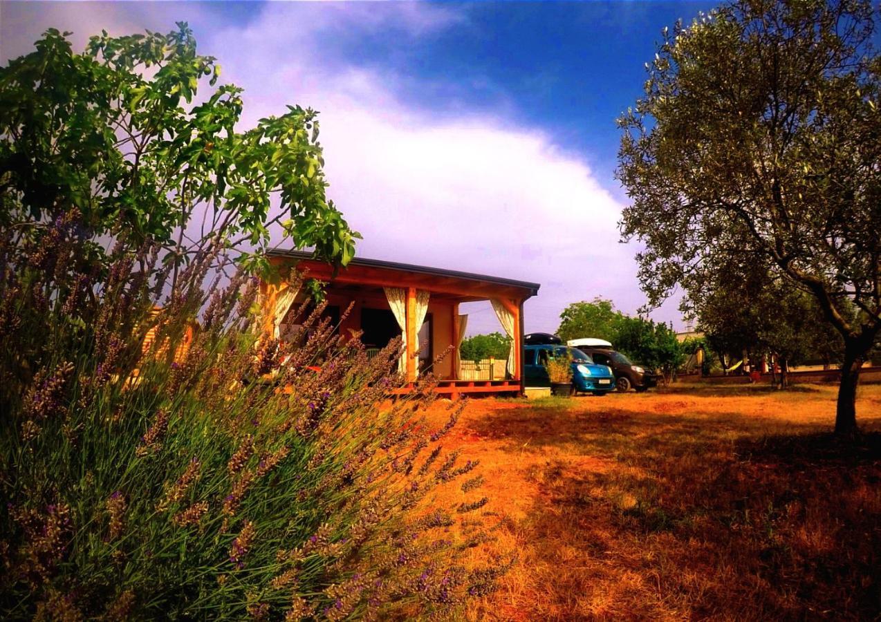 Nature Home Eco-friendly Pet-friendly Fažana Eksteriør billede