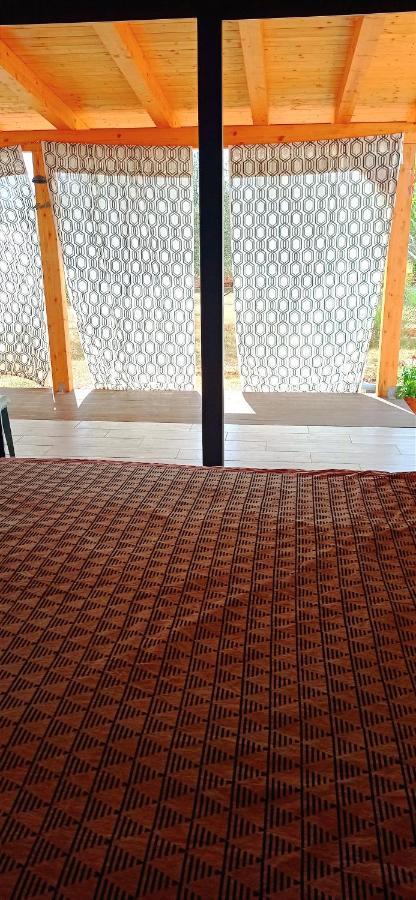 Nature Home Eco-friendly Pet-friendly Fažana Eksteriør billede