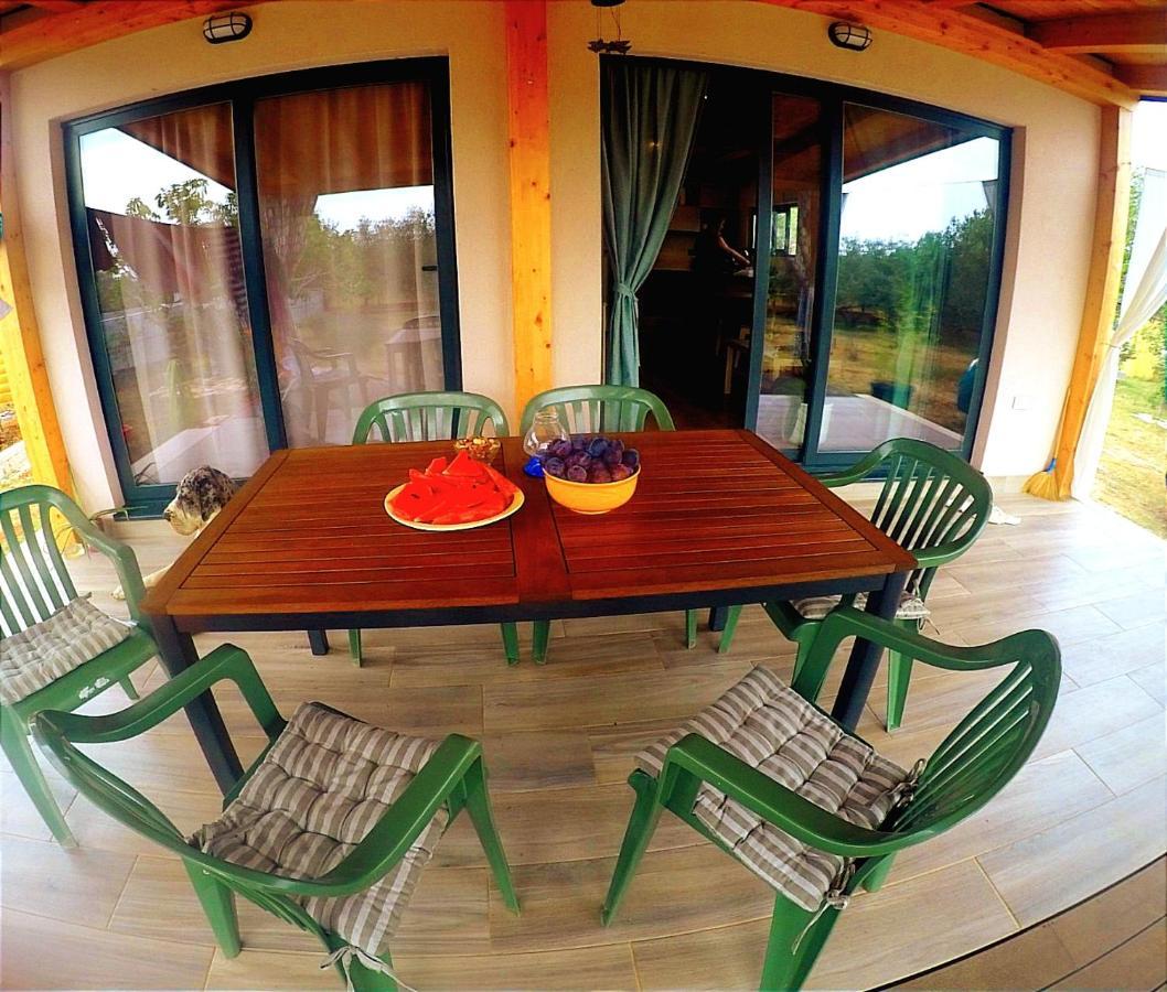 Nature Home Eco-friendly Pet-friendly Fažana Eksteriør billede